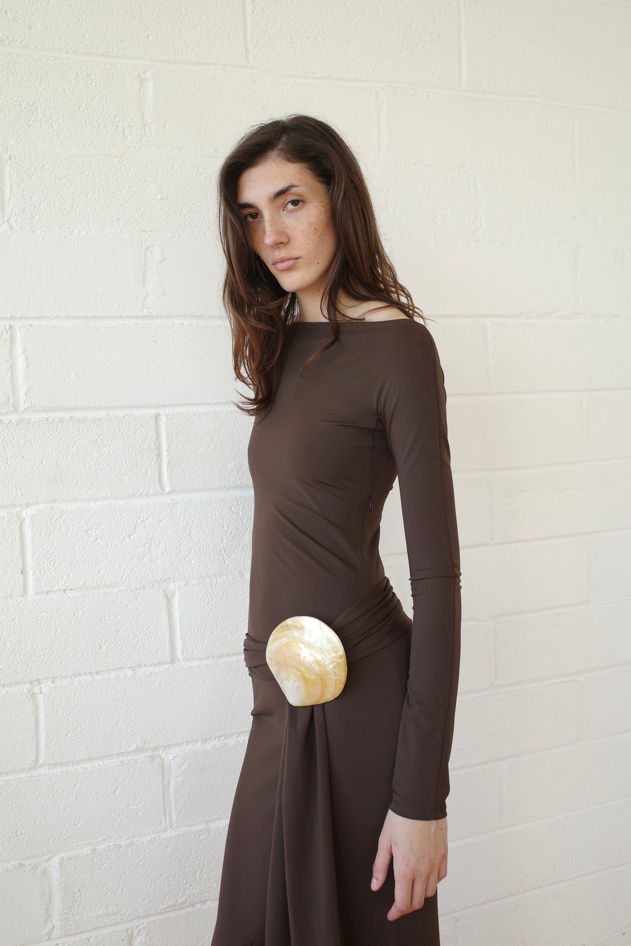 Brown Recycled Spandex Shell Belt Long Sleeve Dress